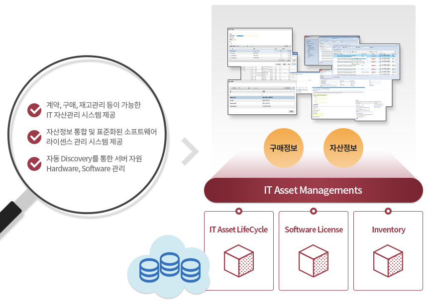 Sofeware License